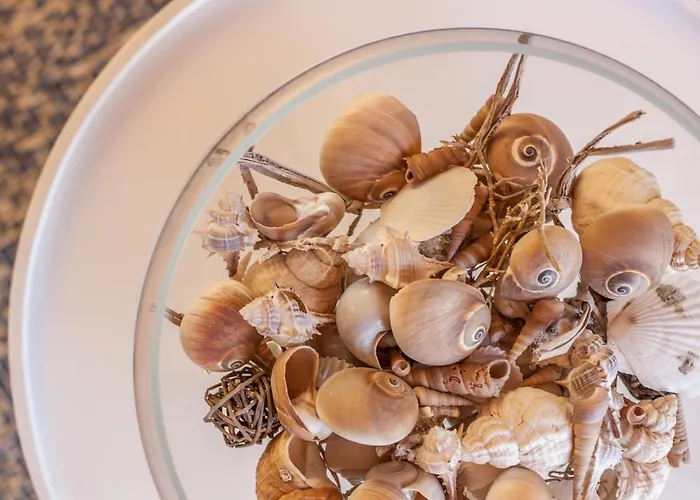 La Maison Des Coquillages - Mytouristhome 아파트 피아쉐리노