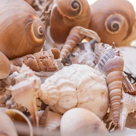 La Maison Des Coquillages Appartamento Fiascherino