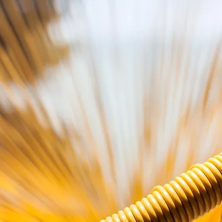 La Maison Des Coquillages *