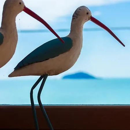 La Maison Des Coquillages