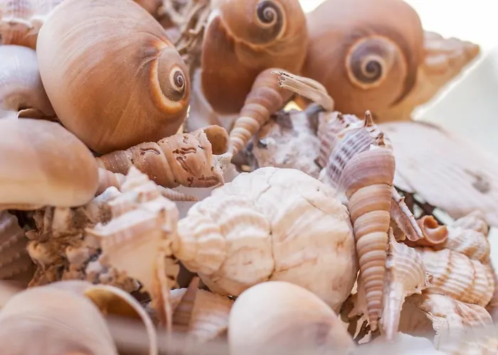 La Maison Des Coquillages Lejlighed Fiascherino